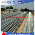 Automatic Poultry Equipment/Chicken House Equipment/ Poultry House Complete Farming System